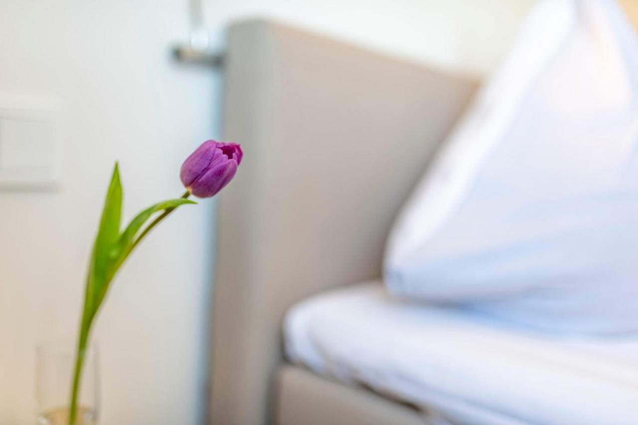 Treibgut Appartement Olpenitz Buitenkant foto